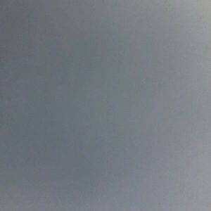 Meet your Posher, Peyton